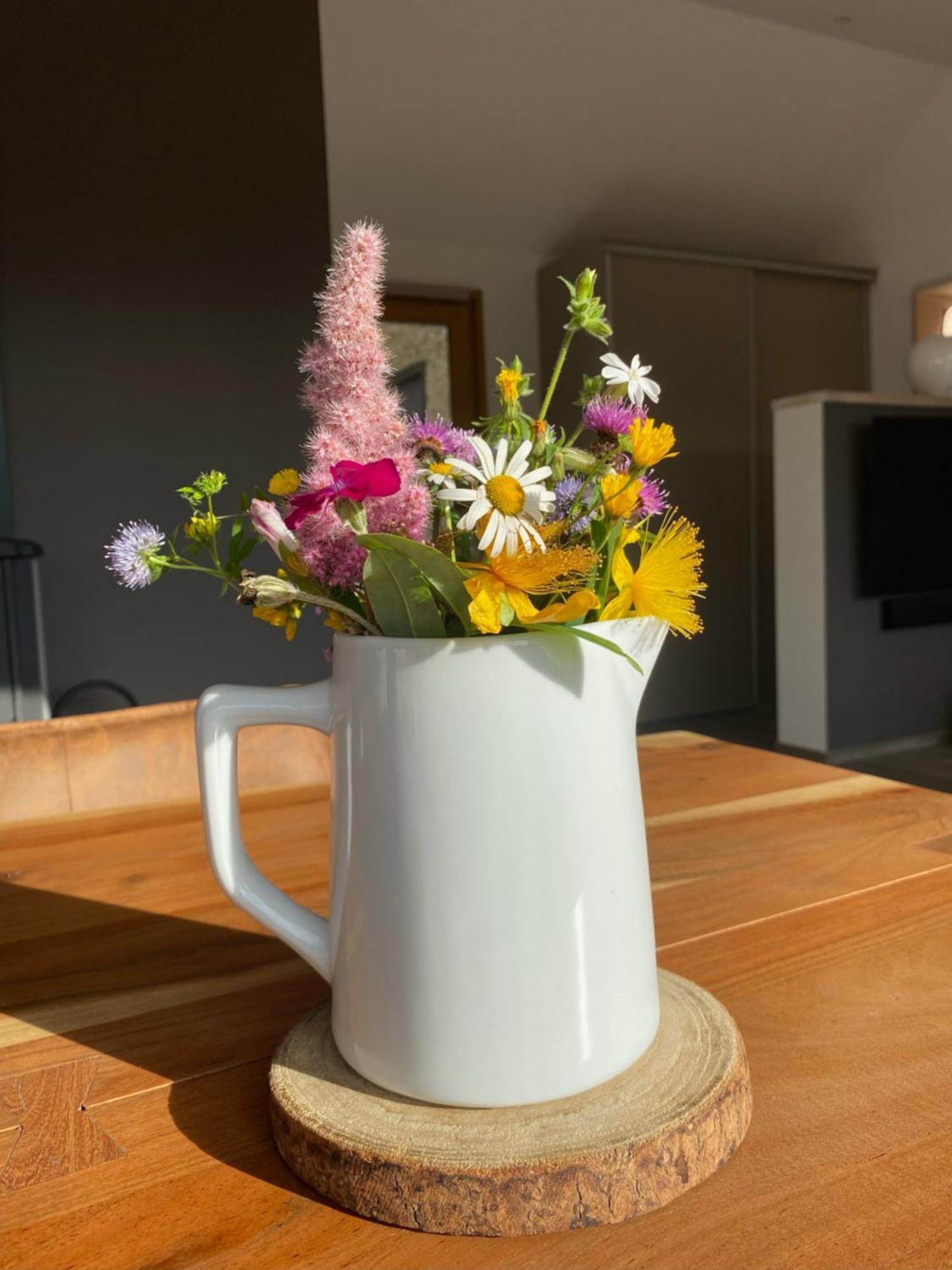 Veyrinas 43 Bed & Breakfast Saint-Yrieix-la-Perche Luaran gambar